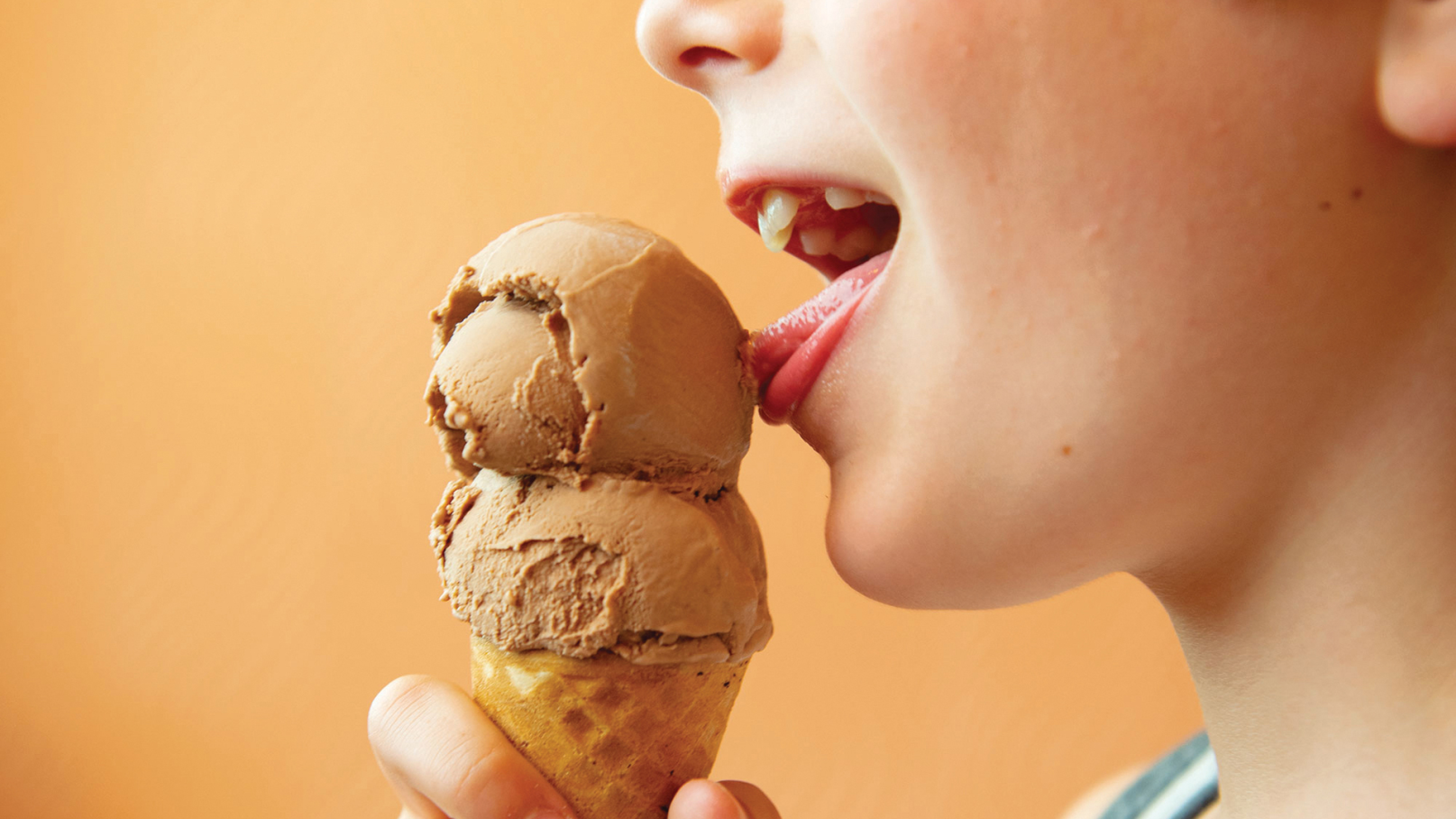 Best Vegan ‘Ice Cream’